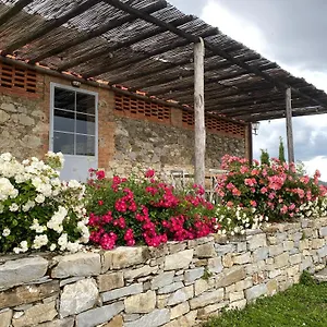 Appartamento Tregole, Castellina in Chianti